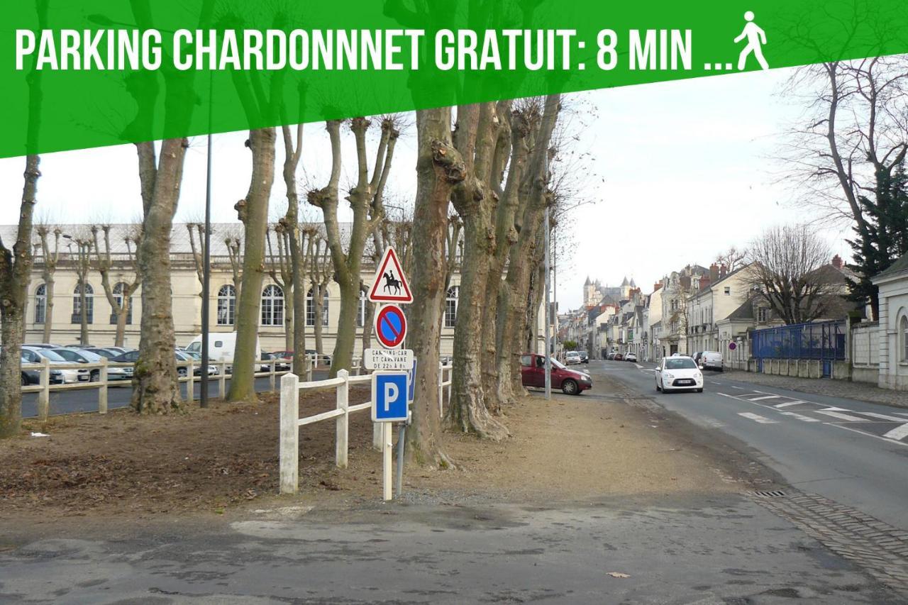 Le Petit Cendriere Apartment Saumur Bagian luar foto